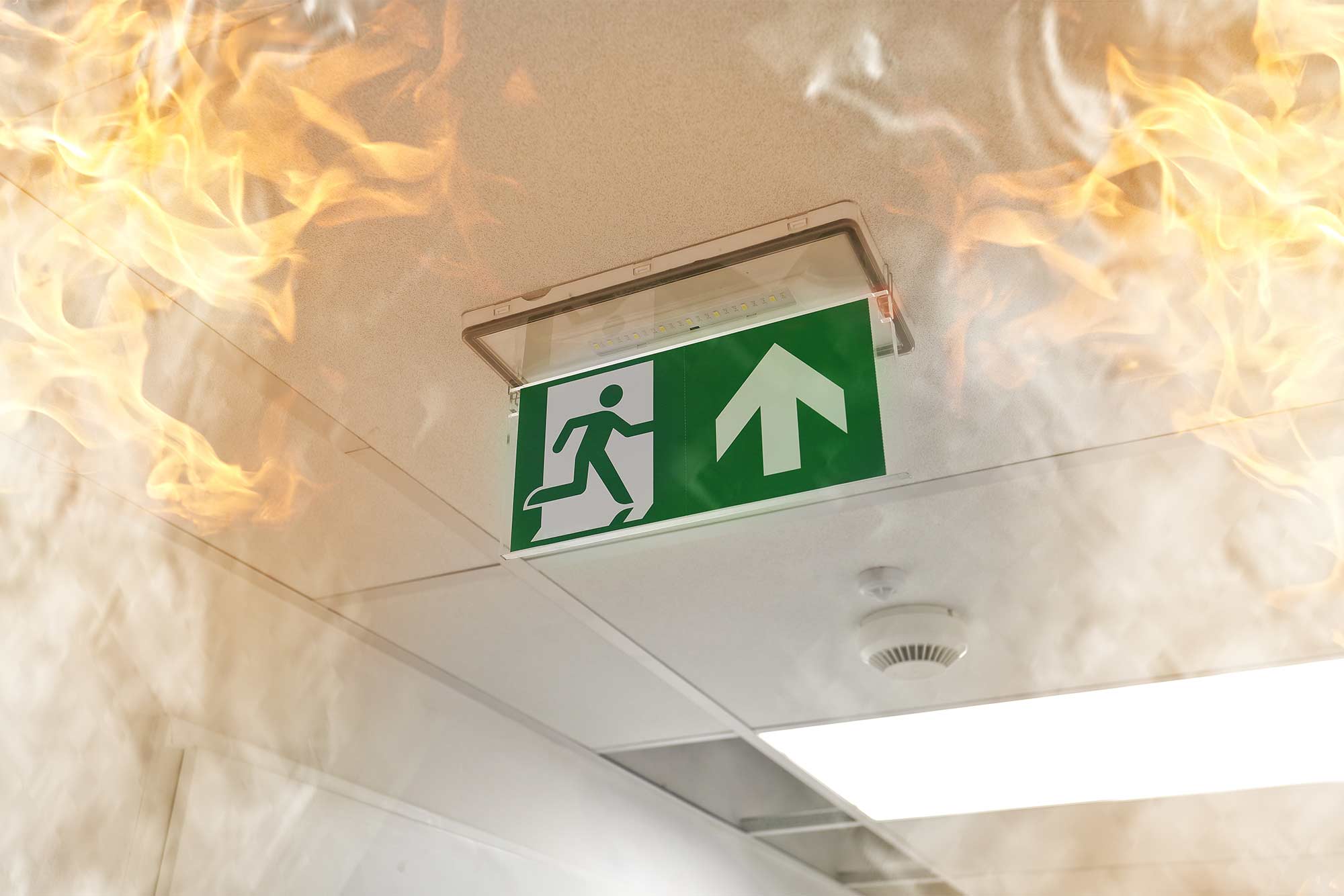 Emergency lighting to assist escape in the event of fire