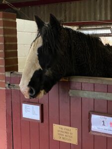 Fire detection and alarm system